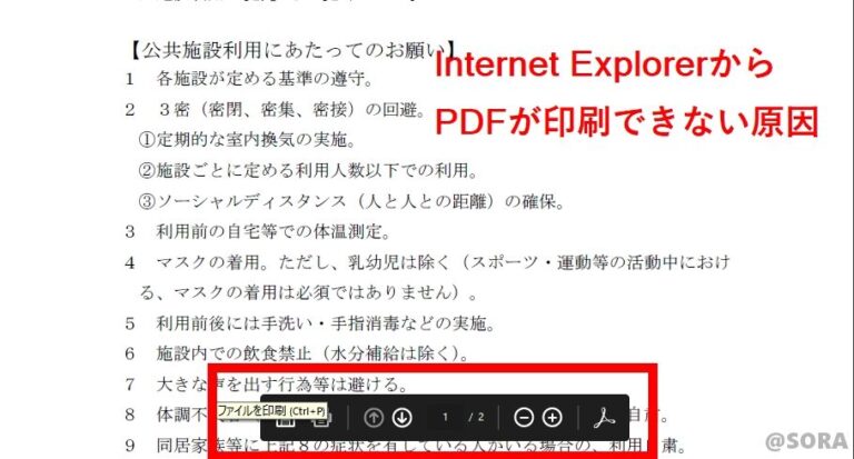 Windows10のinternet Explorerでpdfが印刷できない トラブルサポート It パソコンサポート Sora 埼玉県ふじみ野市